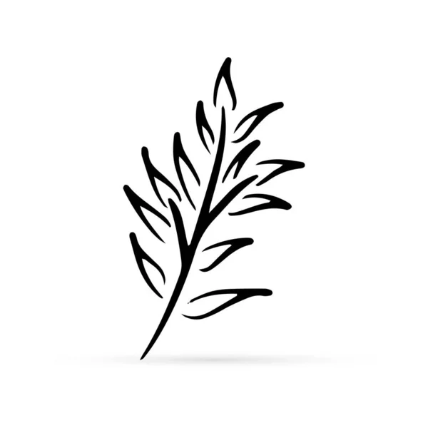 Outline Branch Leaves Icon Isolated White Eco Logo Kids Hand — 스톡 벡터