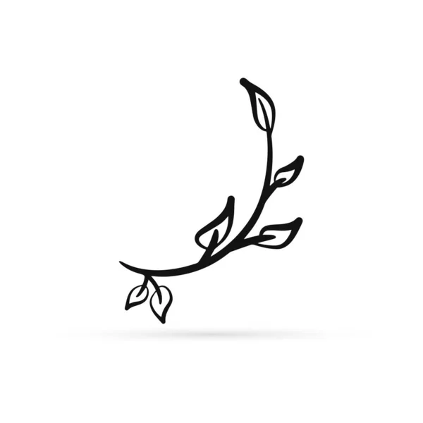 Outline Branch Leaves Icon Isolated White Eco Logo Kids Hand — 스톡 벡터