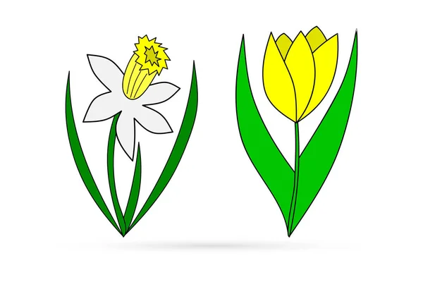 Narciso Tulipán Aislados Blanco Conjunto Flores Garabato Dibujo Mano Línea — Vector de stock