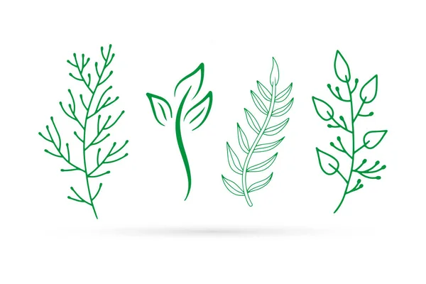 Περίγραμμα Σύνολο Κλάδο Φύλλα Εικονίδιο Απομονώνονται Λευκό Οικολογικό Λογότυπο Παιδιά — Διανυσματικό Αρχείο