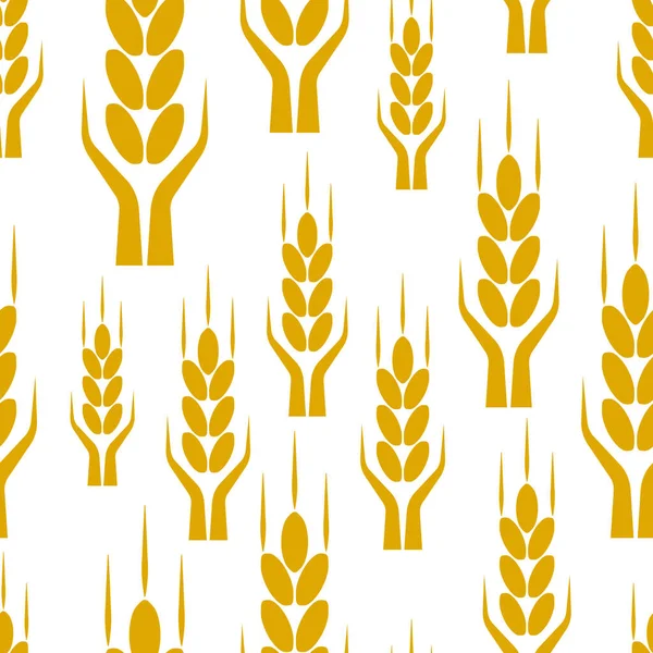 谷物植物的轮廓 小麦图案 模板向量 矢量存量说明 — 图库矢量图片