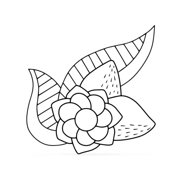 Doodle Färbung Antistress Blume Mit Blatt Isoliert Auf Weiß Bundle — Stockvektor