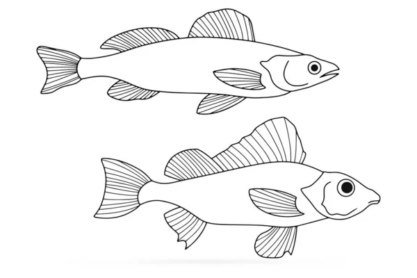 魚のセットアイコンを白で隔離します 魚介類のシンボル ロゴテンプレート 手描きのアートライン 釣りクラブやオンラインショップのシンボル レストランメニュー 彩色ベクターストックイラスト — ストックベクタ