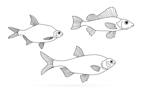 Doodle Icono Pescado Aislado Blanco Mariscos Logo Línea Arte Dibujo — Vector de stock