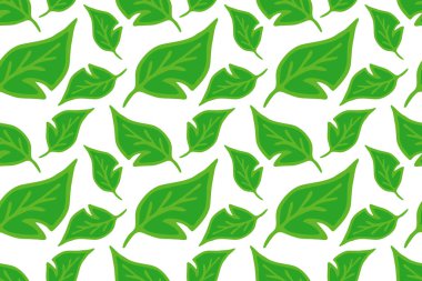 Karalama yaprağı deseni beyaza izole edilmiş. Vektör stok illüstrasyonu