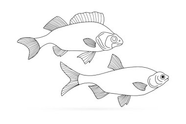 Doodle balığı simgesi beyaza izole edilmiş. Deniz ürünleri sembolü. Logo şablonu. El çizimi çizimi. Balıkçılık kulübü ya da çevrimiçi dükkan sembolü. Restoran menüsü. Renklendirme vektörü stok çizimi