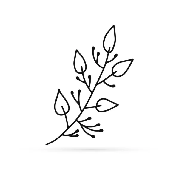 Outline Branch Leaves Icon Isolated White Eco Logo Hand Drawing — Stock Vector