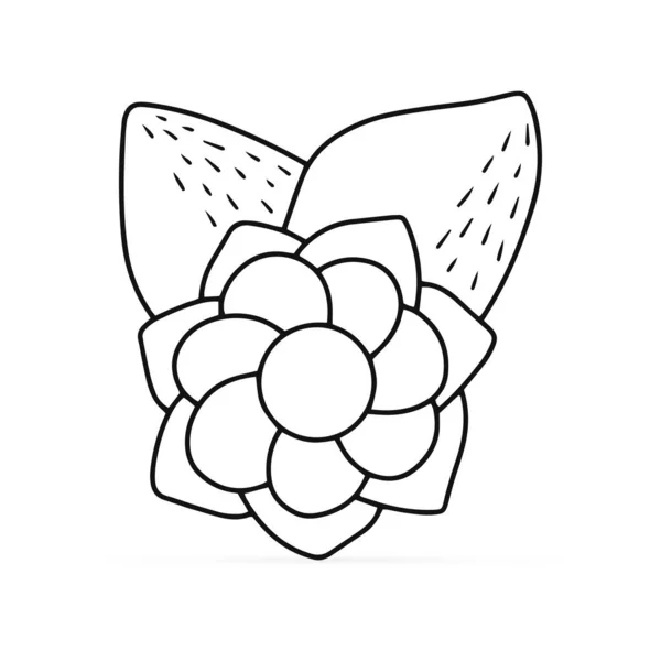 白い葉で隔離された葉で着色ストレス対策の花をドール カード用のバンドルハンド図面アートライン デザインの布 スケッチベクターストックイラスト — ストックベクタ