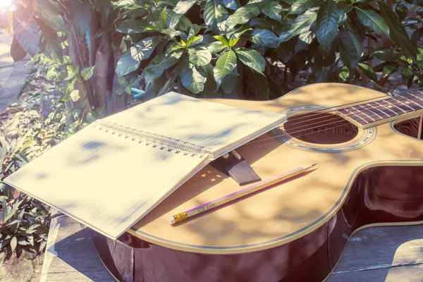 Bahçede akustik gitar