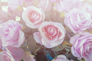 Pembe güller arka plan