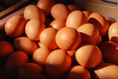 yumurta yumurta arka plan üzerinde