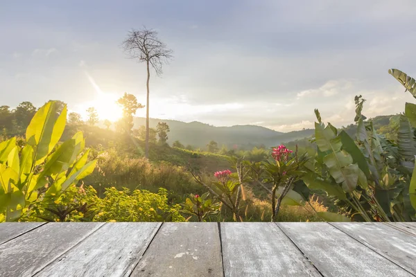 Paisagem verde e terraço — Fotografia de Stock