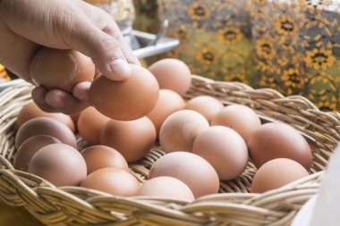 El seçilmiş yumurta