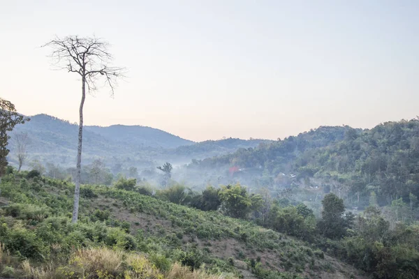 Bela paisagem de manhã — Fotografia de Stock