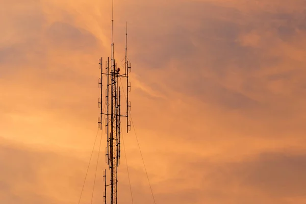 Silhouette antenna with sunset