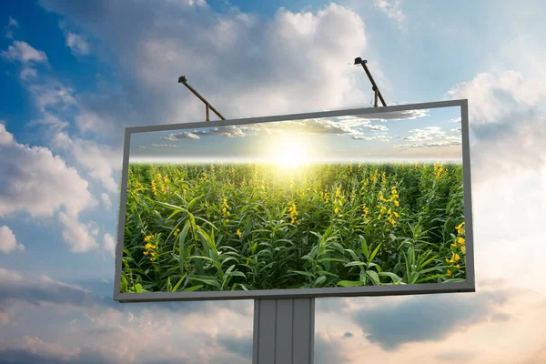 Gökyüzü üzerinde boş billboard