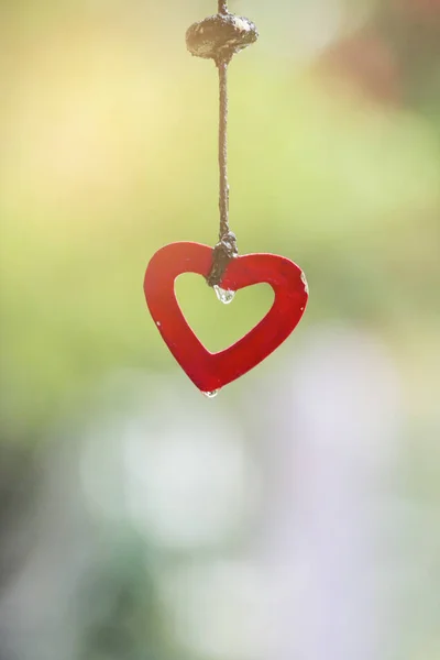 Valentine''s day heart shaped — Stock Photo, Image