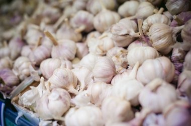 Sarımsak ekranda. bir sürü taze Çiğ sarımsak yalan raflar