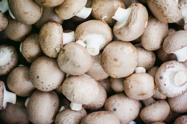 ekranda champignon mantar. bir sürü taze ham mantar öbek raflarda yer alır.