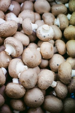 ekranda champignon mantar. bir sürü taze ham mantar öbek raflarda yer alır.