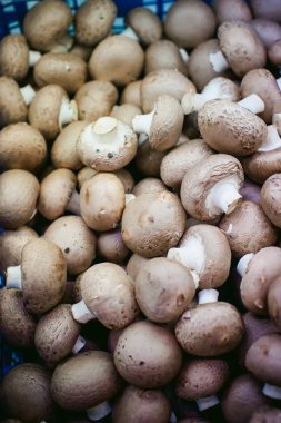 ekranda champignon mantar. bir sürü taze ham mantar öbek raflarda yer alır.