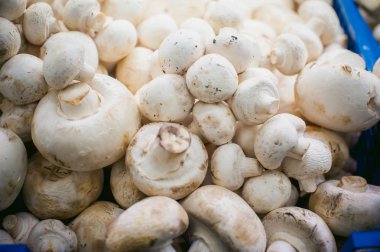 ekranda champignon mantar. bir sürü taze ham mantar öbek raflarda yer alır.