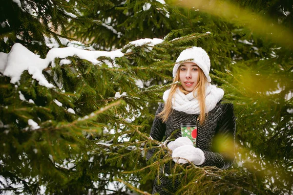 Porträtt av söt kvinna i vit halsduk och mössa stickad kappa på utomhus bakgrund av snö och suddig fir grenar på vintern. — Stockfoto