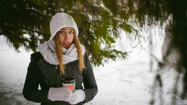 Ritratto di donna carina in sciarpa bianca e cappello cappotto lavorato a maglia su sfondo esterno di neve e rami di abete sfocati in inverno. ragazza tiene una tazza di caffè in mano, caffè da asporto di Natale — Foto Stock