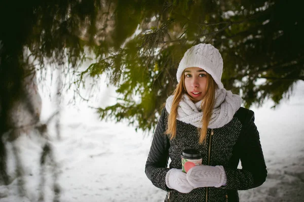 Retrato de mulher bonito em cachecol branco e chapéu de malha casaco ao ar livre fundo de neve e ramos de abeto borrados no inverno. menina segura uma xícara de café na mão, Natal takeaway café — Fotografia de Stock