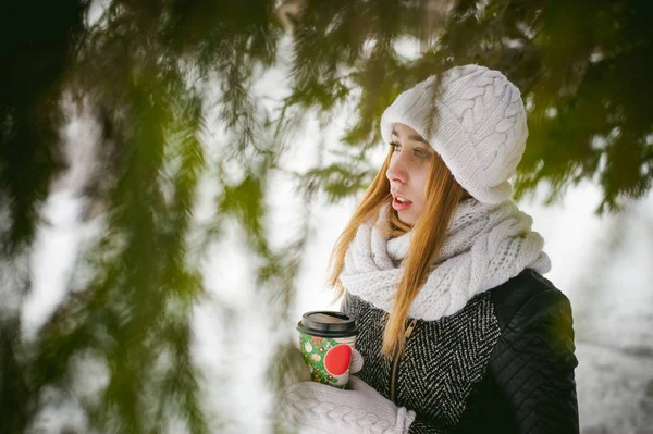 Portrait de jolie femme en écharpe blanche et chapeau manteau tricoté sur fond extérieur de neige et branches de sapin floues en hiver. fille tient une tasse de café dans la main, café à emporter de Noël — Photo