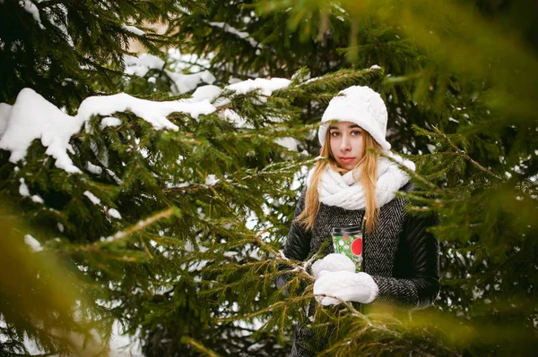 Porträtt av söt kvinna i vit halsduk och mössa stickad kappa på utomhus bakgrund av snö och suddig fir grenar på vintern. flicka rymmer en kaffekopp i handen, jul takeaway-kaffe — Stockfoto