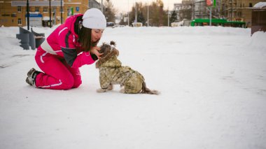 Açık havada bir köpek ırkı Shih Tzu ile kışın yürümek.