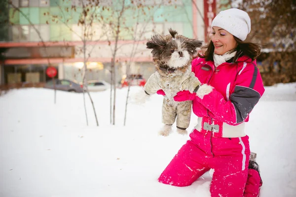 Promenad på vintern utomhus med en hund rasen Shih Tzu. — Stockfoto