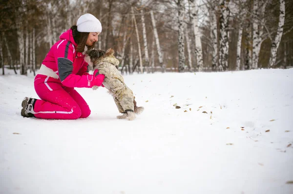 Promenad på vintern utomhus med en hund rasen Shih Tzu — Stockfoto