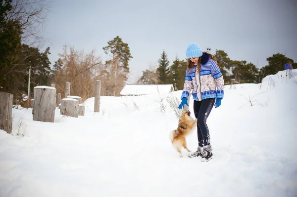 Spitz breed dog playing with a woman walking outdoors winter day, warm clothin