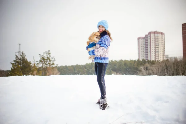 Spitz rasen hund leker med en kvinna som promenader utomhus vinter dag, varma clothin — Stockfoto