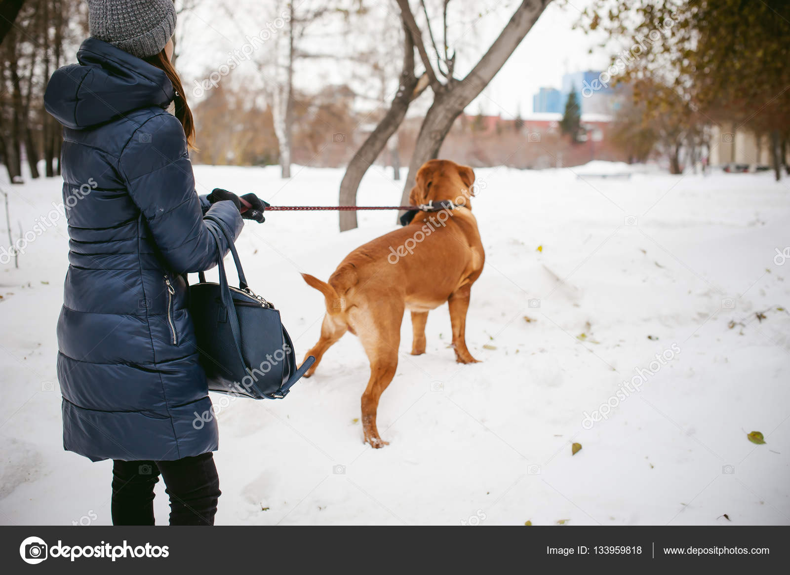 Promenade Dhiver Dans La Neige Avec Un Chien De Race Dogue