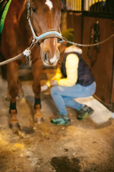 Junge Reiterin seit einem Pferd im Stall beschäftigt, bereitet sich auf die Abreise vor — Stockfoto