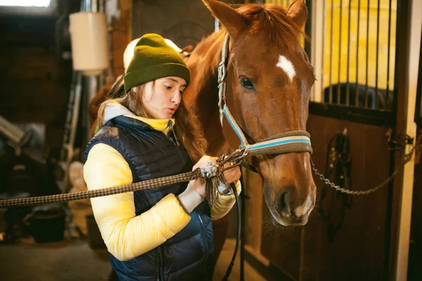 bir at ahır içinde hazırlamak beri kalkış için genç kadın binici nişanlı