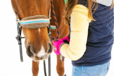 Kadın binici ve at açık havada