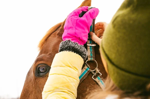 Kış giysileri ve birlikte beyaz kar karşı durmak için at kadın. sevgi ve atlar için bakım. 
