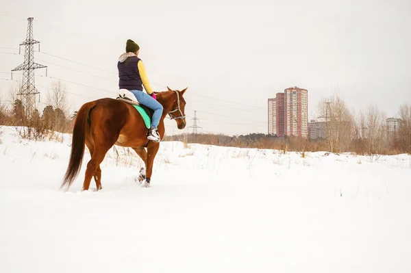 Kvinna i vinterkläder rider på en häst på en bakgrund av vita snön. — Stockfoto