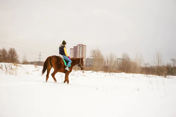 Kvinna i vinterkläder rider på en häst på en bakgrund av vita snön. — Stockfoto