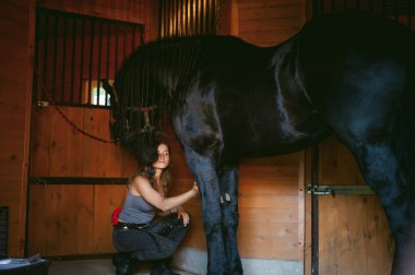 woman horseman cleans from dirt with brush Friesian horse in stables on farm, taking care of purebred pets clipart