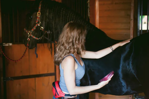 女性騎手掃除ブラシ フリージアン馬の農場、馬小屋が付いている土から純血種のペットの世話 — ストック写真