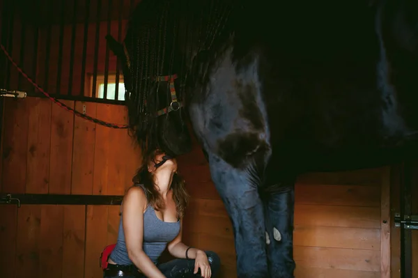 Mujer jinete limpia de la suciedad con cepillo caballo frisón en establos en la granja, el cuidado de las mascotas de raza pura — Foto de Stock