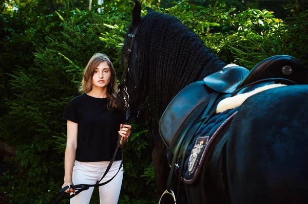 Woman horseman cleans from dirt with brush Friesian horse in stables on far — Stock Photo, Image