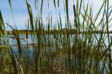 Göl, terk edilmiş bir eski Barajı, sıcak güneşli bir gün gezi