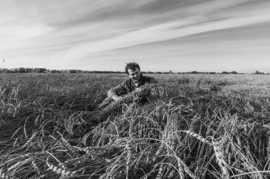 adam arka plan manzara alan, buğday üzerinde