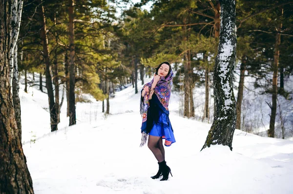 伝統的なロシアのウール ショールの木の中で森林の冷ややかな空気に開いたポーズ青いドレスの黒い髪とスタイリッシュなブルネットの女性 — ストック写真